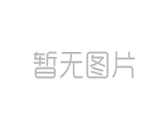 精制石油的国内零售价降